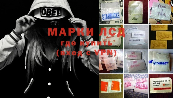 ПСИЛОЦИБИНОВЫЕ ГРИБЫ Михайлов
