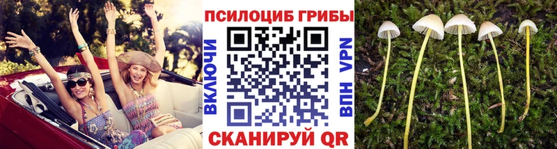 гидра как зайти  Лысково  Псилоцибиновые грибы MAGIC MUSHROOMS  дарк нет телеграм  где продают  